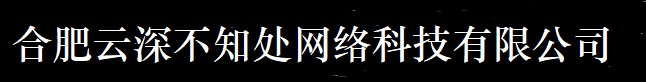 网络公司